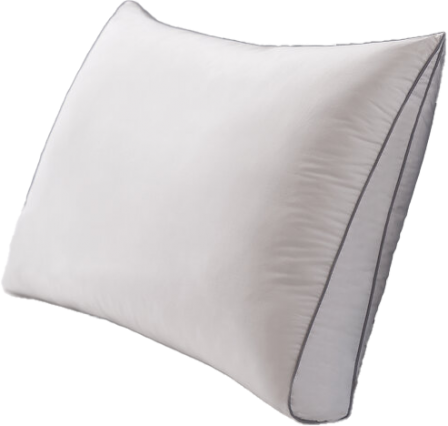 DreamGUARD Everyway Sleeper Pillow