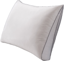 DreamGUARD Everyway Sleeper Pillow